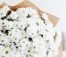 flowers-blog-img-3